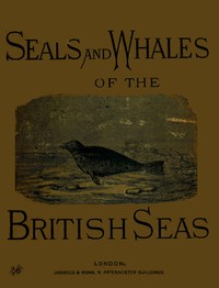 Cover of The seals and whales of the British seas