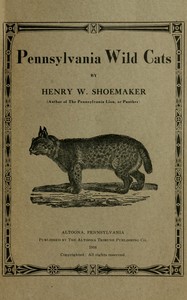 Cover of Pennsylvania wild cats