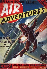 Cover of The boy who couldn't fly