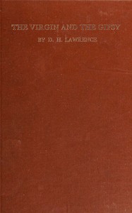 Cover of The virgin and the gipsy
