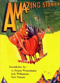 Cover of The mordant