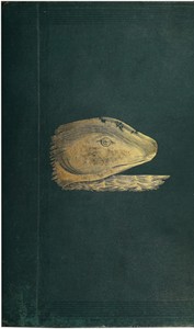 Cover of The great sea-serpent : $b an historical and critical treatise