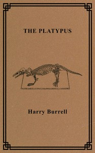Cover of The platypus : $b its discovery, zoological position, form and characteristics, habits, life history, etc.