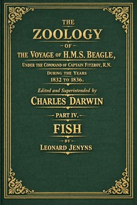 Cover of The zoology of the voyage of H.M.S. Beagle, [vol. 4 of 5] : $b Fish