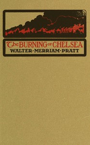 Cover of The burning of Chelsea