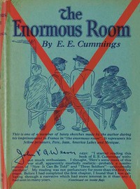 Cover of The Enormous Room