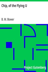 Cover of Chip, of the Flying U