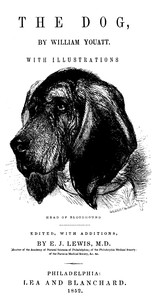 Cover of The Dog