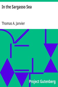 Cover of In the Sargasso Sea A Novel